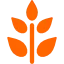 Grow Schemes