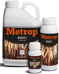 Root+ Wurzelstimulator